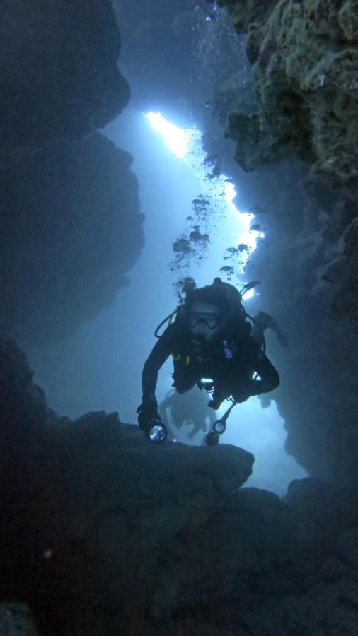 منتجع باراديس كوف Naukacuvu Island المظهر الخارجي الصورة